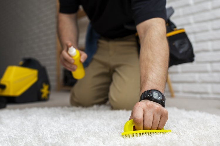 Maximize Your Investment: Protecting Your Carpets with Professional Carpet Cleaning