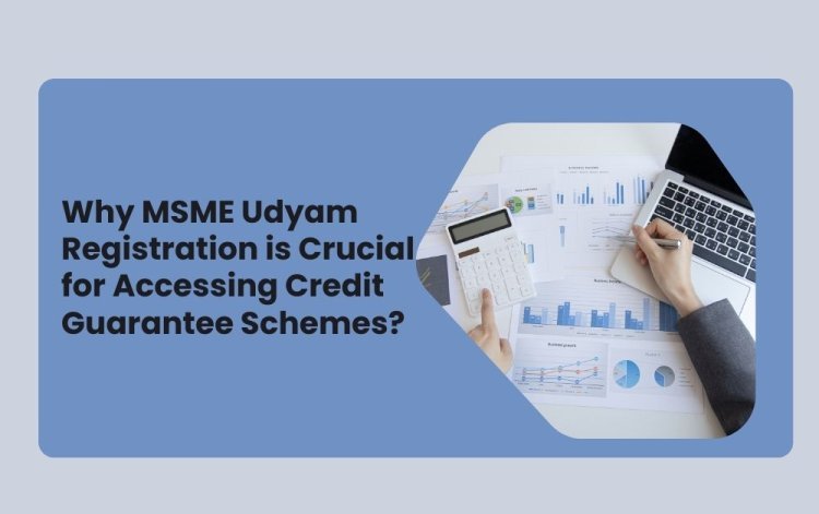 Why MSME Udyam Registration is Crucial for Accessing Credit Guarantee Schemes?