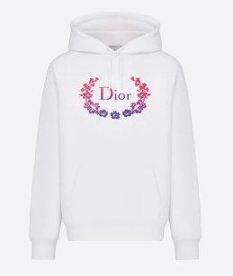Dior Hoodie The Perfect Balance of Style and Comfort