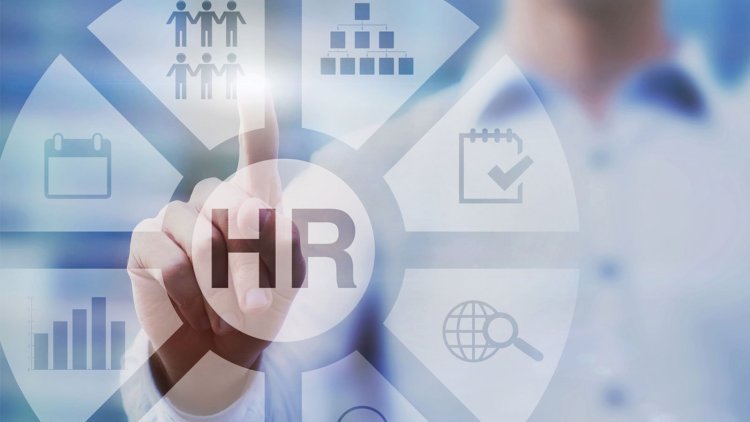 What Role Does HR Consulting Play in Organisational Growth?