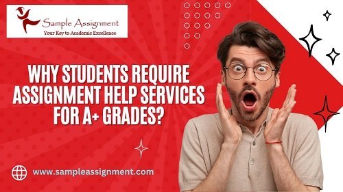 Why Students Require Assignment Help Services For A+ Grades?