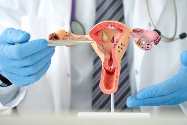 Demystifying Women's Health: What to Expect at Your First Gynecologist Appointment