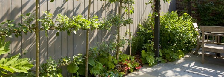 Transform Your Rooftop into a Lush Oasis with Gardening Services in NYC