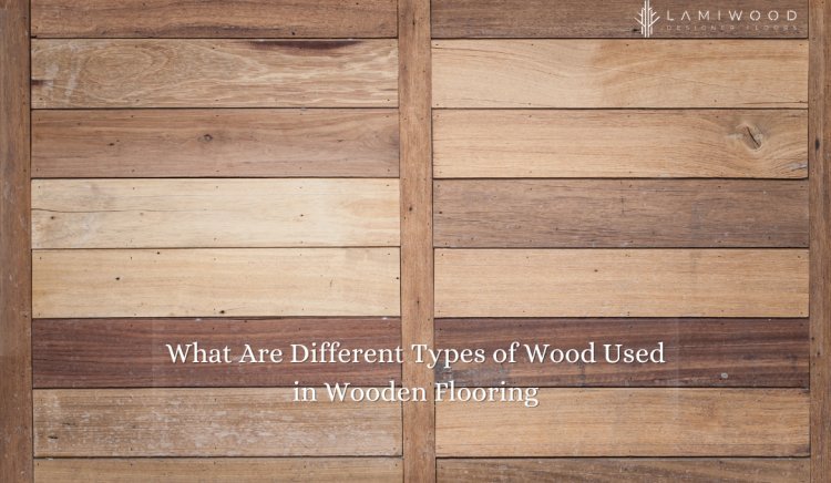What Are Different Types of Wood Used in Wooden Flooring