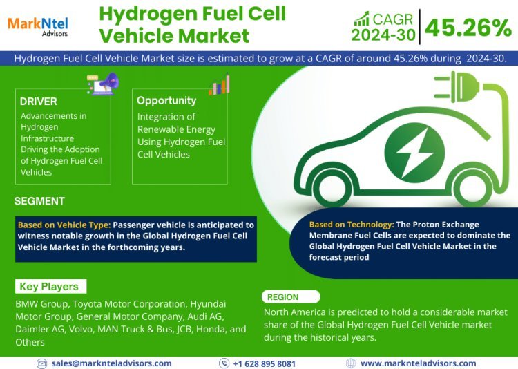 A Comprehensive Guide to the Hydrogen Fuel Cell Vehicle Market: Definition, Trends, and Opportunities 2024-2030