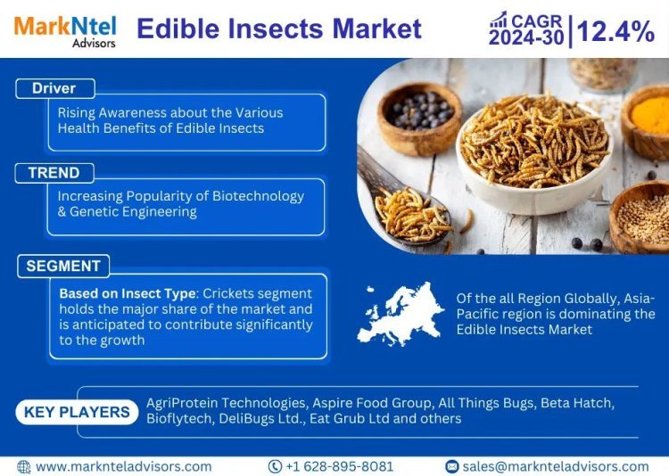 A Comprehensive Guide to the Edible Insects Market: Definition, Trends, and Opportunities 2024-2030