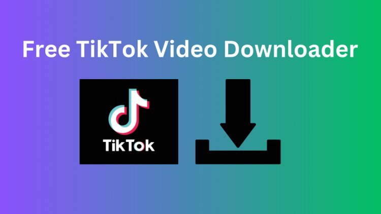 Download TikTok Videos Without Watermark Free