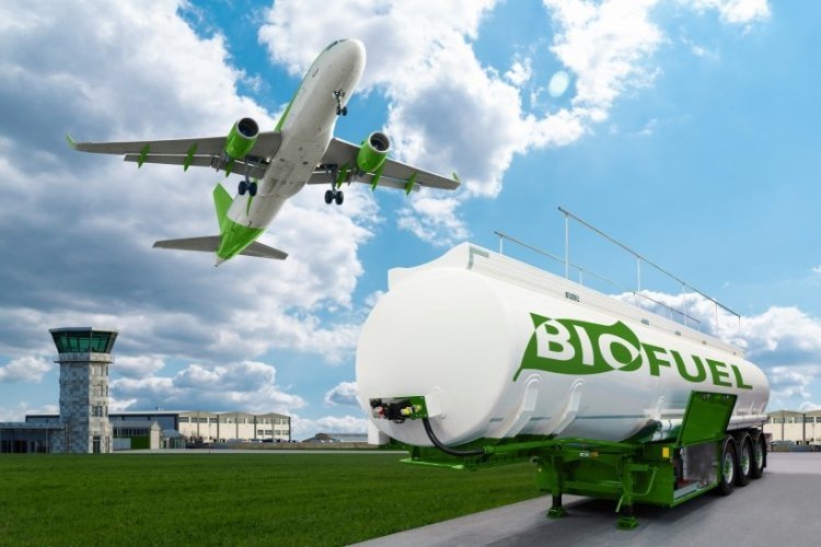 Elevated Growth: Renewable Aviation Fuel Market Projected at 48.01% CAGR till 2029