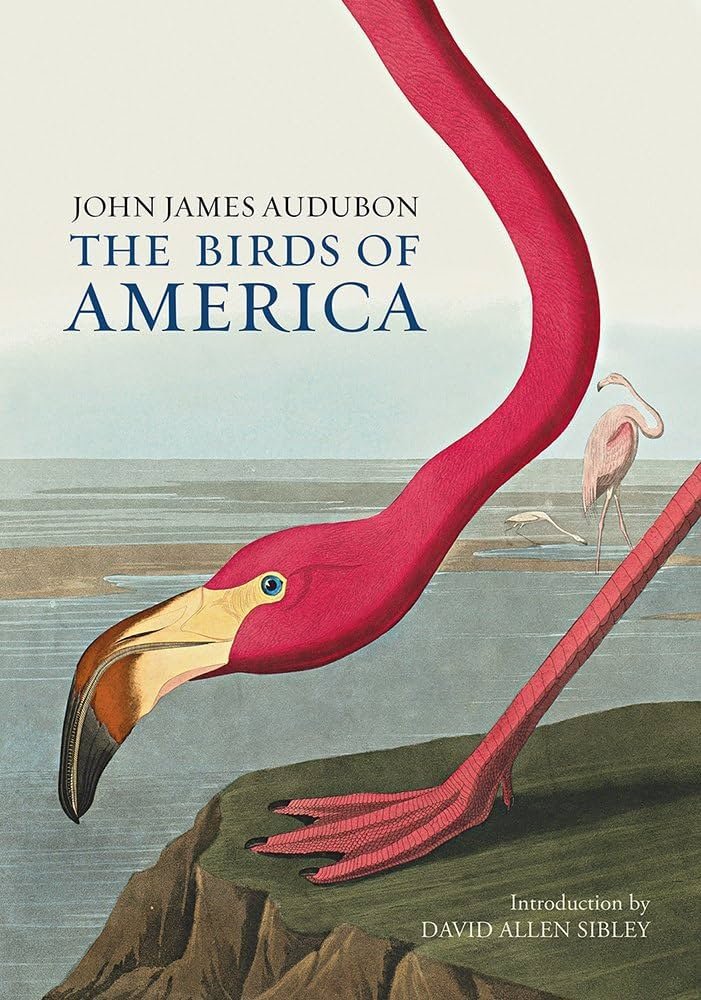 How Was Audubon's Birds Of America Originally Published, And What Made It Unique For Its Time?