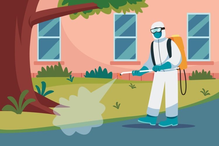 Effective Pest Control Solutions in Jaipur: A Comprehensive Guide