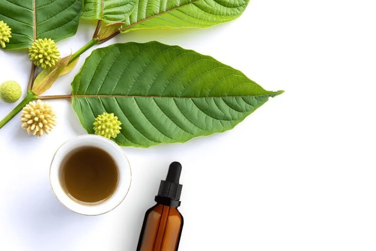 The Best Places to Buy Red Thai Kratom Capsules Online in 2024
