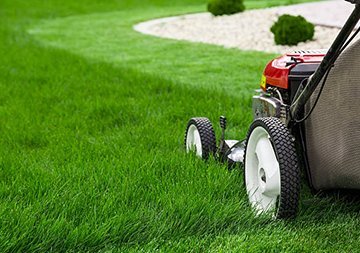 How Often Should You Mow Your Lawn In Summer VS. Winter?