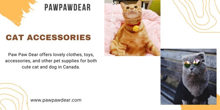 Perfectly Accessorized: A Guide to Essential (and Fun) Cat Gear