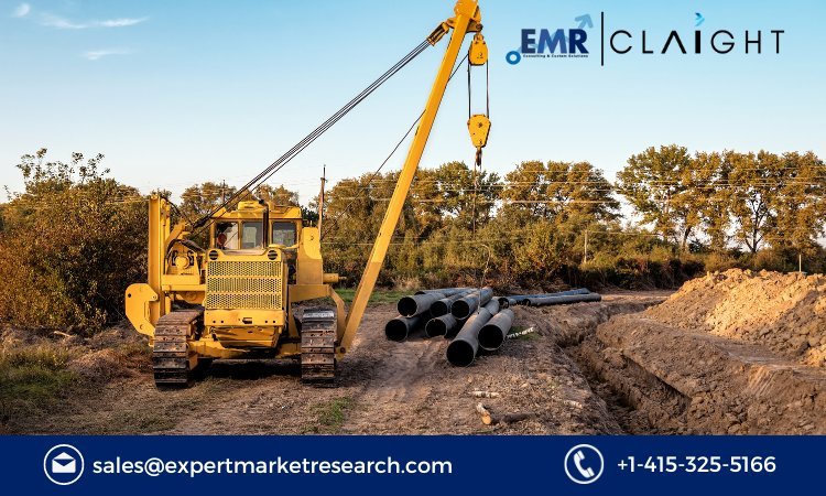 Unveiling the Dynamics of the Booming Crawler Crane Market