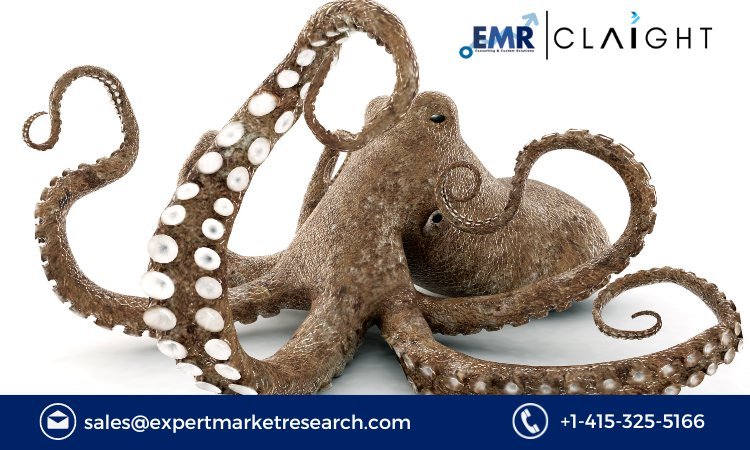 Unveiling the Depths: Exploring the Octopus Market | 2032