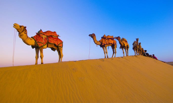 Rajasthan's 8 Hidden Gems: Lesser-Known Attractions Off the Beaten Path