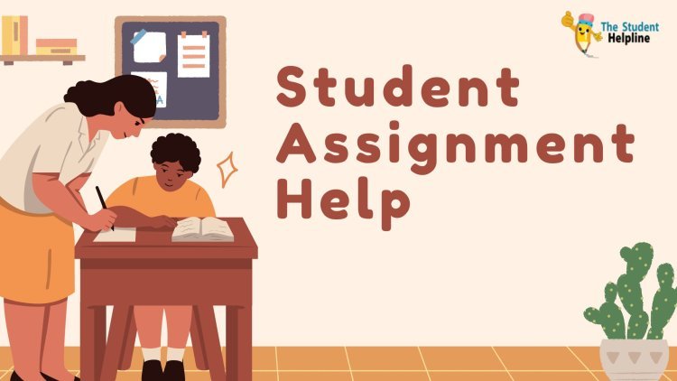 Bridging the Gap: Student Assignment Help for STEM Subjects