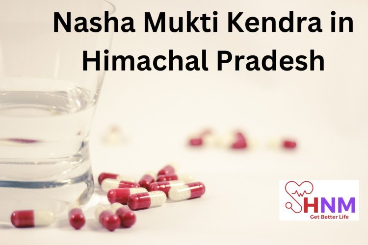 Nasha Mukti Kendra's Holistic Embrace of Healing in Himachal Pradesh