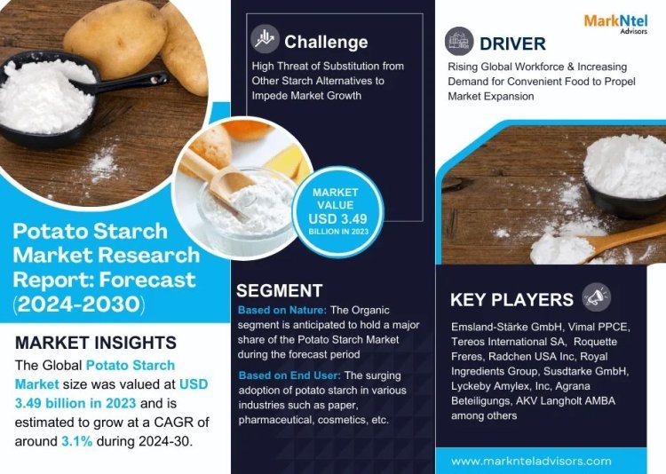 Potato Starch Market Key Finding, Latest Trends Progression Status, & Revenue Analysis