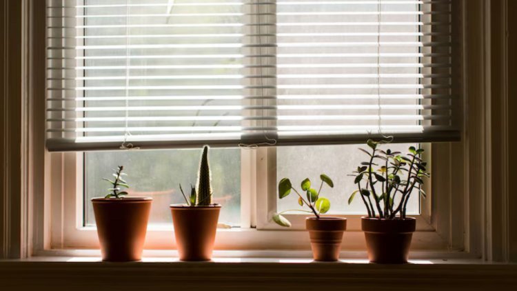 Struggling with Glare and Heat? Could Bottom Up Shades Be the Answer?