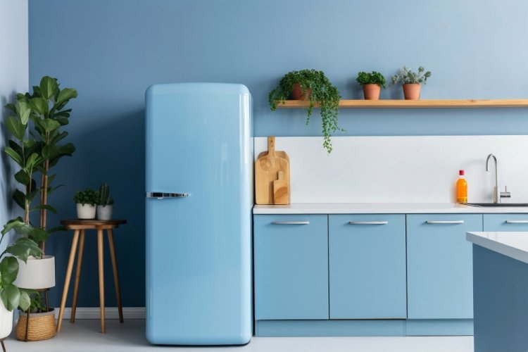 Everything You Need to Know Before Buy Double Door Refrigerator