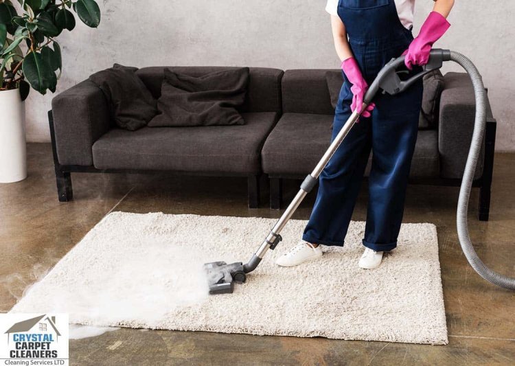 Choosing the Best Carpet Cleaning Service for Your Home