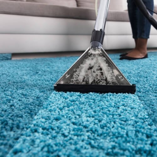 How do you clean expensive carpets?