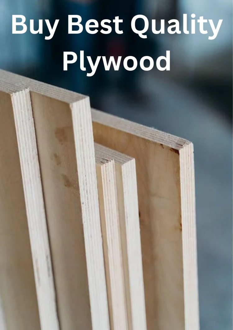 Top 3 Plywood Manufacturers in Delhi NCR