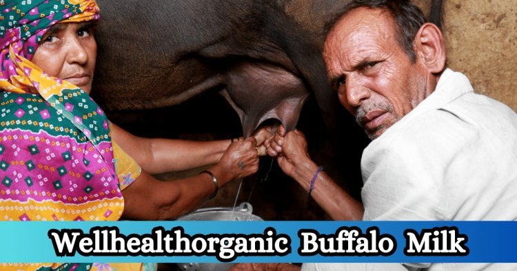 Purely Nutritious: The Wellhealthorganic Buffalo Milk Promise - Uncompromising Quality and Taste