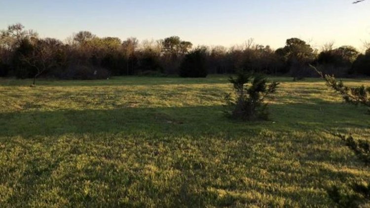 How to Find Deals on Land for Sale in Van Zandt County