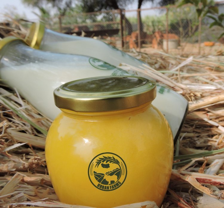 The Role of Gir Cow Ghee in Ayurvedic Practices