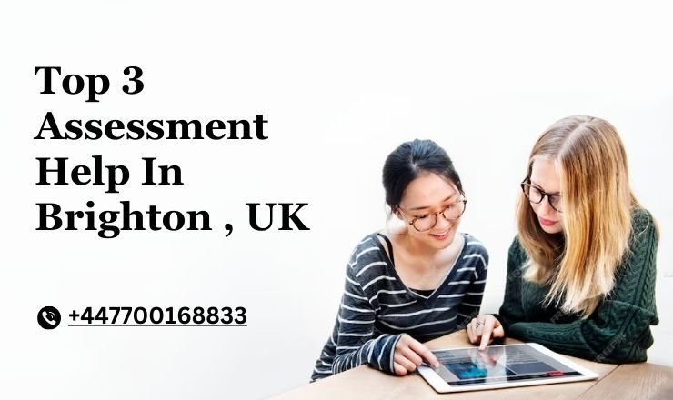 Top 3 Assessment Help In Brighton , UK
