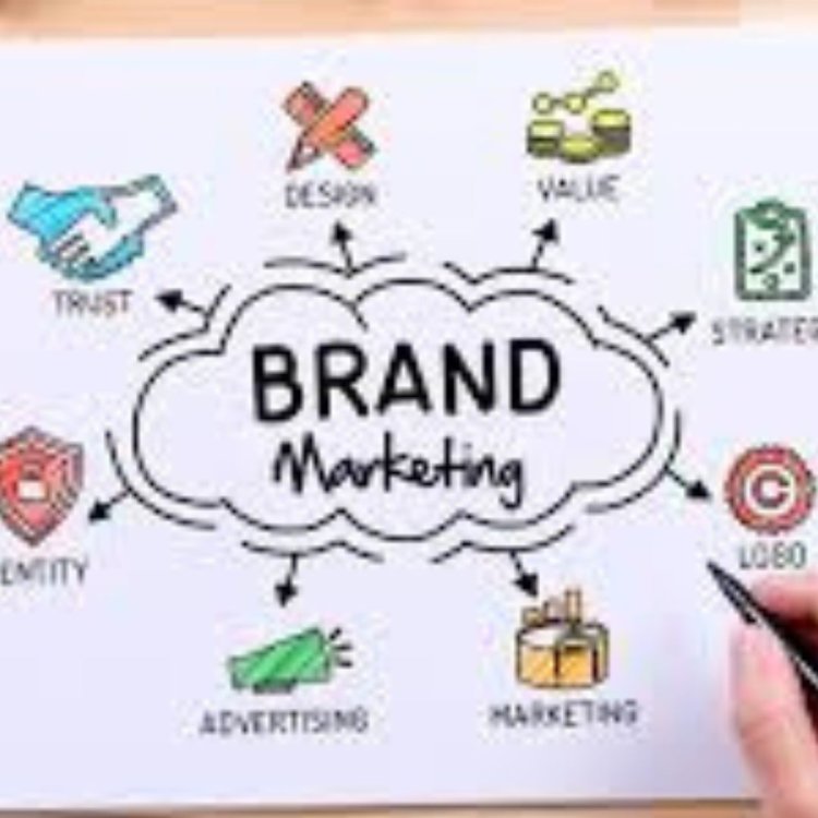 Transforming Your Brand Identity with the Best Branding Agency