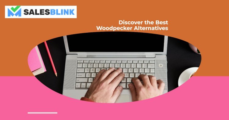 Exploring Woodpecker Alternatives: Why SalesBlink Stands Out