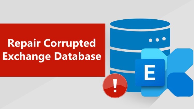 How to use the EDB Recovery program to recover corrupted Exchange EDB files?