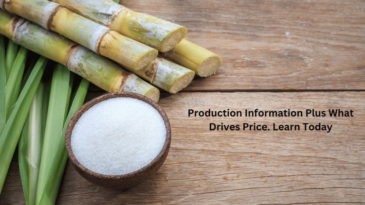 Sugar In 2024 – Production Information Plus What Drives Price. Learn Today