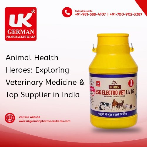Animal Health Heroes: Exploring Veterinary Medicine and Top Supplier in India