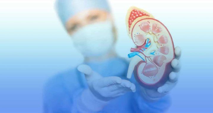 What is the Success Rate of Stem Cell Treatment for Kidney Disease in India?