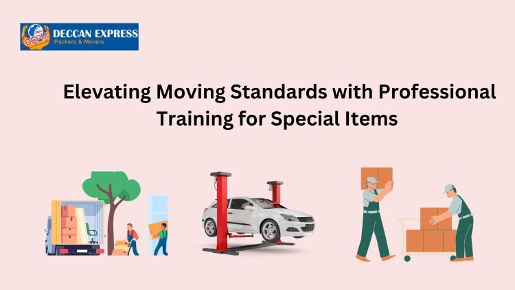 Elevating Moving Standards with Professional Training for Special Items