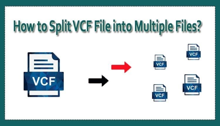 How to Divide VCF Documents into Various File?