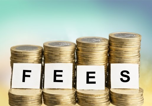 Exploring Master in Management Fees