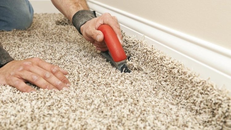 Carpet Repair vs. Replacement: What’s Best?