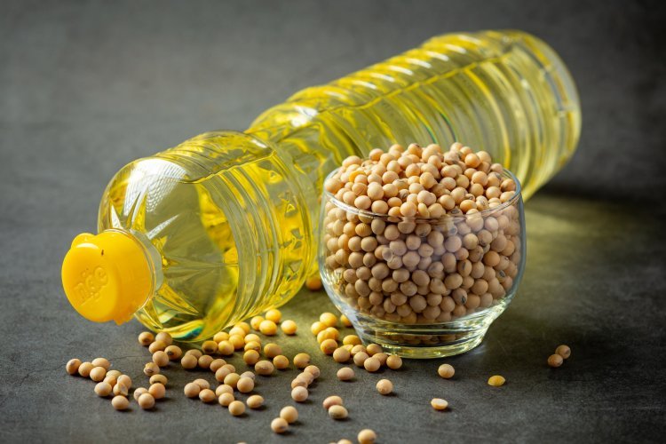 Soybean Oil Market Size, Share, Market Growth Dynamics, 2032