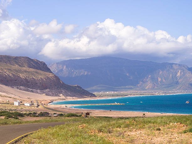 Why Socotra Pioneer Tours Is Your Best Friend When You Travel To Socotra?