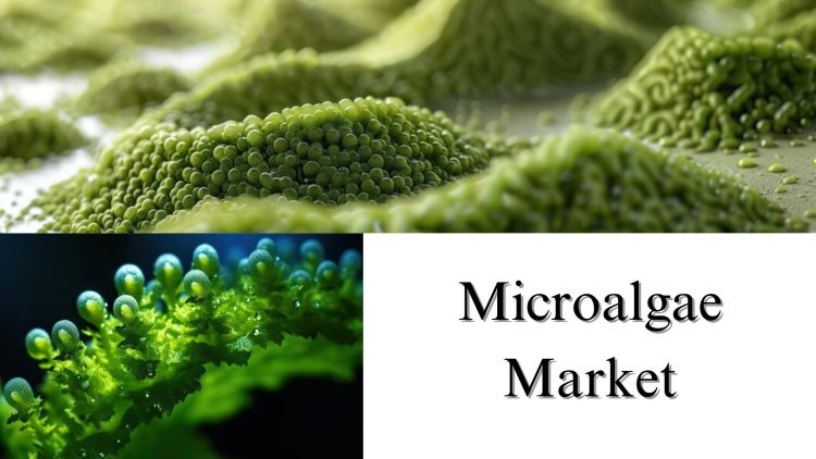 Microalgae Market Size, Share, Growth and Forecast Overview Through 2032