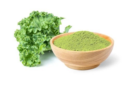 Kale Powder Manufacturing Plant 2024: Project Cost, Raw Materials Requirement and Profit Margin