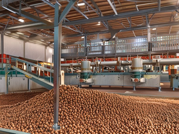 Macadamia Nut Processing Plant Project Report 2025: Machinery and Raw Materials