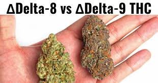 Delta 9 vs. Delta 8: Which One is Right for You?