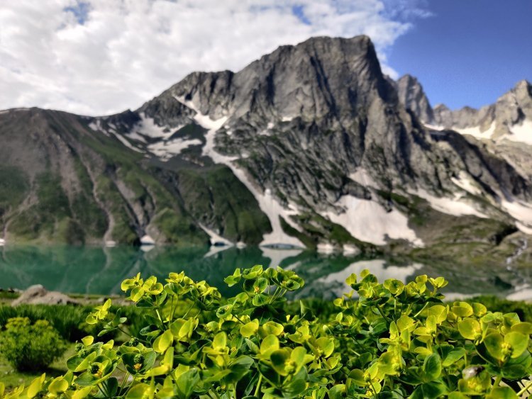 Exploring the Kashmir Great Lakes Trek: A Journey Through Paradise