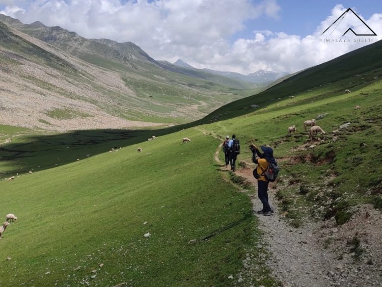 Explore the Enchanting Pir Panjal Lakes Trek: A Journey Through Untamed Beauty